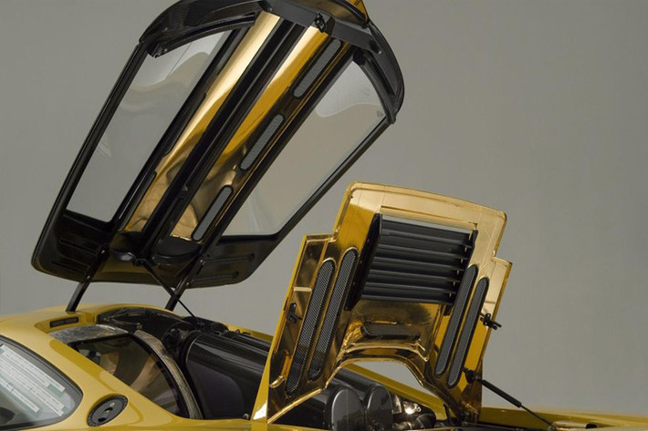 Khoang động cơ của chiếc McLaren F1 có nhiều chi tiết được làm bằng vàng 24K. Ghế ngồi lái của xe được thiết kế nằm giữa khoang lái giống như trong xe đua F1. Tất cả các dụng cụ sửa chữa được trang bị cho xe cũng được mạ vàng.