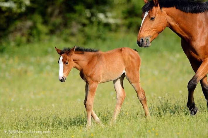 Tuổi Ngọ: Công việc: không suôn sẻ, mắc nhiều sai lầm và gặp nhiều trở ngại trong công việc, nên cẩn thận trong lời nói để tránh chuyện thị phi không mong muốn. Tài vận: không nên quan tâm quá nhiều vào chuyện của người khác để tránh những phiền phức về tiền bạc. Tình cảm: ngày xấu cho chuyện tình cảm, dễ xảy ra hiểu lầm.