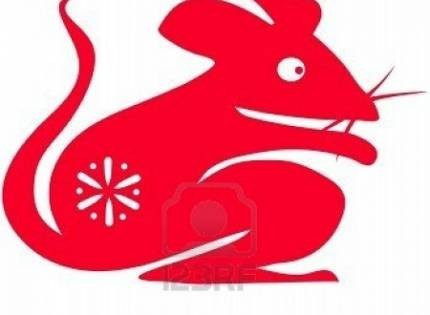 Tình cảm: Tình cảm của người tuổi Tý tháng này không mấy thuận lợi, cả hai không tin tưởng lẫn nhau, hay tranh cãi, lời khuyên đối với bạn là cần quan tâm tới đối phương, tránh cãi vã.