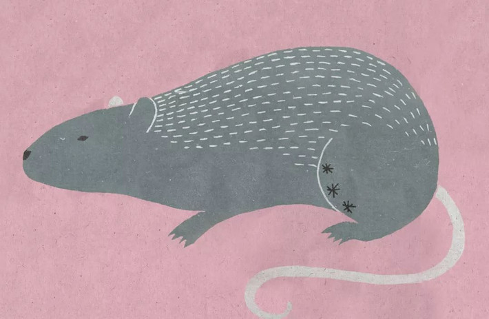 Theo dự đoán tử vi tháng 6 âm lịch năm Kỷ Hợi cho 12 con giáp trên trang lnka (Trung Quốc), tài vận của người tuổi Tý tốt đẹp, do có Thiên Ấn Tinh phù hộ, hơn nữa lại tạo thành cục diện Quan Ấn tương sinh với tuế gan nên có lợi cho việc tăng lương, tăng thưởng. Người tuổi Tý có thể bỏ tiền ra đầu tư vào lĩnh vực tài chính hoặc kim khí nhưng tuyệt đối tránh lĩnh vực bất động sản. Tháng này, người tuổi Tý xảy ra nhiều mâu thuẫn, tranh cãi trong hôn nhân. Do gặp cục diện Quan Ấn Tương Sinh nên sẽ có quý nhân phù trợ trong sự nghiệp, có cơ hội tìm được việc làm tốt hơn.