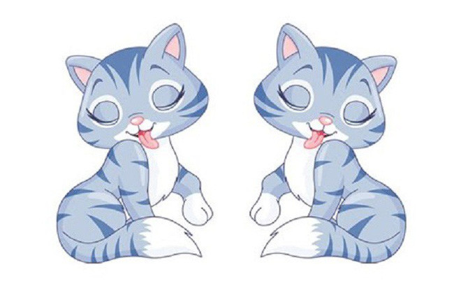 Tuổi Mão: Người tuổi Mão thẳng thắn, lạc quan. Thời gian trước đây do bị hung tinh áp chế nên vận thế đi xuống, sự nghiệp xuống dốc, tiền bạc khó khăn.