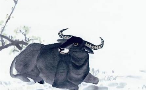 Tuổi Sửu: Vận thế của người tuổi Sửu trong thời gian gần đây tương đối tốt đẹp, con giáp này đều có thể thuận lợi vượt qua được mọi khó khăn.