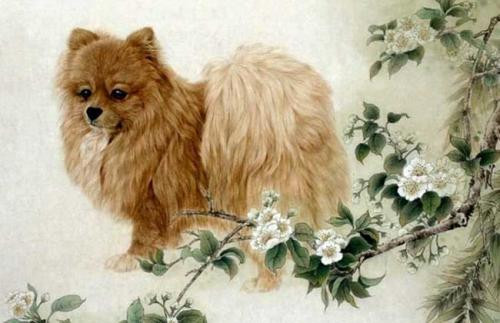 Tuổi Tuất: Người tuổi Tuất bước qua năm tuổi, bước vào năm Kỷ Hợi với vân thế đầy may mắn. Đặc biệt trong vòng 5 năm tới, con giáp này sẽ có nhiều đột phá trong cuộc sống.