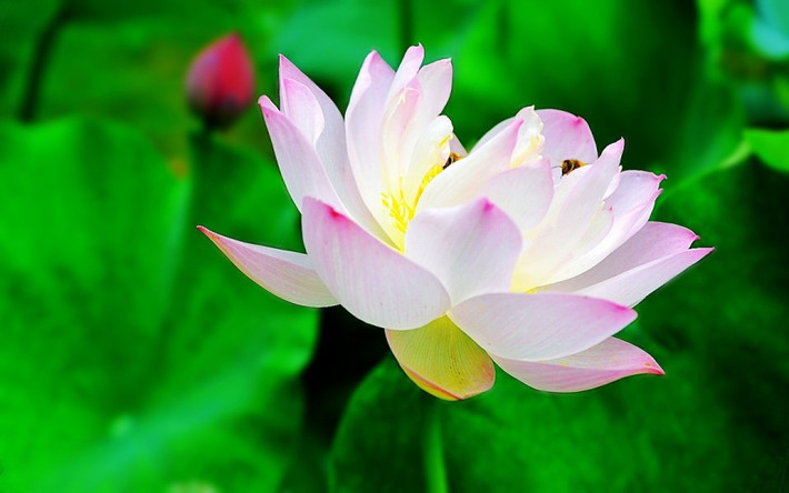 Ngày 11 và ngày 21 âm lịch: Người sinh vào thời gian này là người mạnh mẽ, quyết đoán, có chủ kiến, luôn cho rằng “vận mệnh là do bản thân quyết định”.