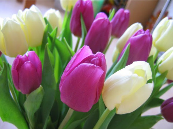 Ngày mùng 1 và mùng 8 âm lịch: Người sinh vào ngày mùng 1 và mùng 8 âm lịch bẩm sinh đã mang phúc khí dồi dào và đặc biệt thường sinh ra trong gia đình giàu có, có điều kiện nên từ nhỏ không thiếu ăn thiếu mặc.