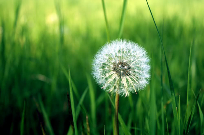 Ngoài ra người sinh vào thời gian này cũng rất yêu thích “kim tiền”, sự nghiệp tiền bạc luôn là mục tiêu số một nên luôn phấn đấu không ngừng để có được cuộc sống đầy đủ, sung túc nhất. (Bài viết chỉ mang tính tham khảo, cung cấp nội dung trắc nghiệm vui cho bạn đọc).