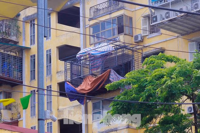 "Tại tòa chung cư A6 Giảng Võ, nhiều hộ gia đình đang tiếp tục cơi nới bằng rào sắt kiên cố và những "chuồng cọp" mới sẽ mọc lên, làm sau sẽ lớn hơn làm trước, trong khi chính quyền hầu như không có biện pháp ngăn chặn hay xử lý kiên quyết", một người dân A6 Giảng Võ bức xúc.