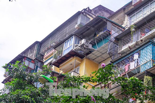 Chuồng cọp ở đây đều được kiên cố bởi hàn sắt quây rào tôn.