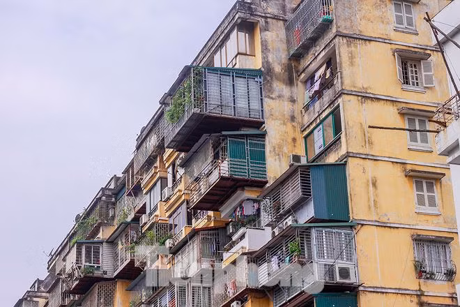 Chung cư trở nên nhếch nhác mất an toàn, mất thẩm mỹ với những “chuồng cọp” kiên cố.