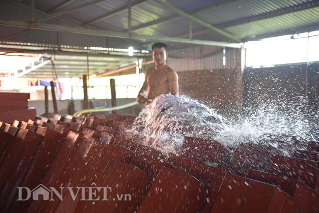 Công nhân làm việc liên tục và khẩn trương cung cấp đá cho thị trường tiêu thụ vải thiều Lục Ngạn. Mặc dù làm việc trong môi trường đá lạnh nhưng những người công nhân ở đây vẫn thấy khá nóng bức.