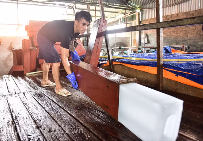 Trung bình mỗi một cây đá có trọng lượng khoảng trên dưới 50kg, khi xuất xưởng được ông Triệu bán với giá 30.000 đồng/cây nhưng dự kiến trong vài ngày tới, giá sẽ tiếp tục tăng, đỉnh điểm có thể đạt 50.000 - 55.000 đồng/cây.