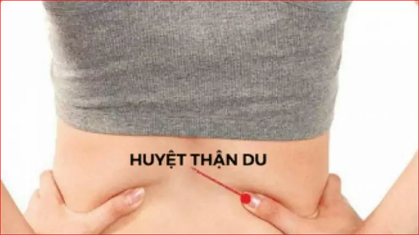 Nếu muốn cải thiện tình trạng đau nhức thông qua massage, chị em có thể xoa bóp huyệt Thận du mỗi ngày. Ở đó, Thận du là huyệt chịu trách nhiệm chi phối luồng khí lưu thông, vận hành ra vào trong cơ thể. Huyệt nằm ở vị trí phía dưới của gai sống thắt lưng thứ 2, đo ra phía ngang tầm 1,5 thốn.