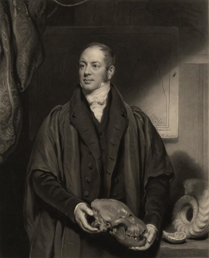 7. William Buckland (1784-1856), cựu sinh viên trường Corpus Christi thuộc Đại học Oxford, Anh, là người đầu tiên viết bản mô tả hoàn chỉnh về một mẫu hóa thạch khủng long.