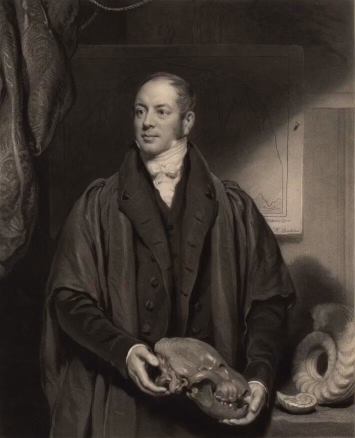 7. William Buckland (1784-1856), cựu sinh viên trường Corpus Christi thuộc Đại học Oxford, Anh, là người đầu tiên viết bản mô tả hoàn chỉnh về một mẫu hóa thạch khủng long.