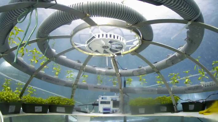 Sau khi chứng minh hiệu quả của thiết kế, nhóm nghiên cứu đang bắt tay vào xuất khẩu công nghệ sang các nước khác.