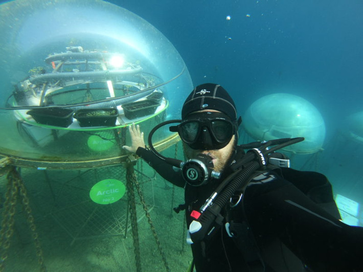 Hơn 100 loại cây trồng khác nhau đã bắt rễ ở khu vườn, từ cây thảo mộc và hương liệu tới thức ăn như xà lách, đậu và dâu tây.