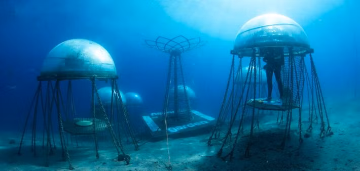 Công ty không chỉ thu hoạch thành công một loạt hoa màu từ các khối cầu sinh quyển mà còn kết luận cây trồng trong môi trường này giàu dưỡng chất hơn cây trồng theo phương pháp truyền thống.