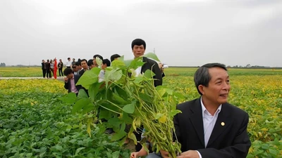 GS.TSKH Trần Đình Long, từ cánh đồng trung du tới công dân Thủ đô ưu tú
