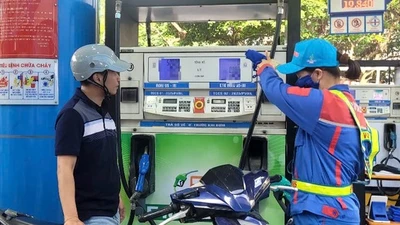 Cấp bách tiết kiệm năng lượng: Xăng sinh học đã sẵn sàng