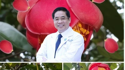 Hành trình đẹp như hoa của bác sĩ vừa được đặt tên cho loài trà my mới
