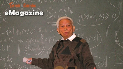 Hành trình vượt khó của GS Hoàng Tụy - Nhà toán học vĩ đại Việt Nam