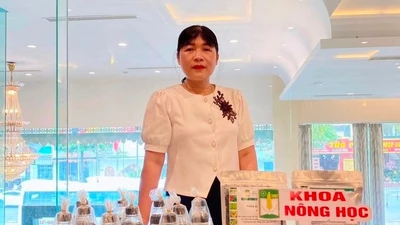 Nữ giáo sư biến đất cát miền Trung thành 'mùa vàng' tiền tỷ