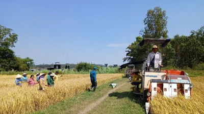 Chuyển đổi số nông nghiệp, bài 'kiểm tra' năng lực chuyển đổi số quốc gia