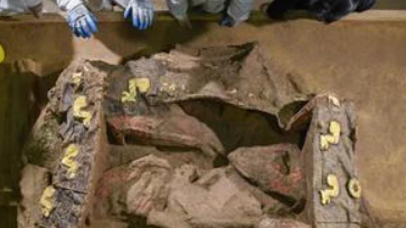 Bí ẩn 2 huy hiệu rồng dát vàng trên xe kéo 2.500 năm