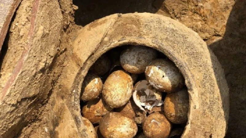 Mộ cổ 2.500 năm tại Trung Quốc chứa lọ trứng bí ẩn