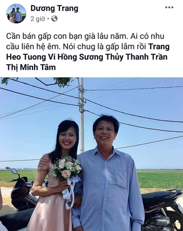 Bất lực trước gái ế, anh chị em bạn dì 'rao bán' trên MXH