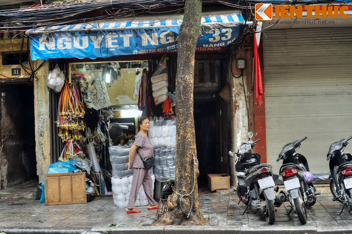 Đây nguyên là đất thôn Xuân Yên, tổng Thuận Mỹ thuộc huyện huyện Thọ Xương cũ. Gọi là Hàng Bồ vì ở đoạn giữa phố, cho tới đầu thời Pháp thuộc là nơi tập trung những cửa hàng bán các thứ bồ đan bằng tre nứa.