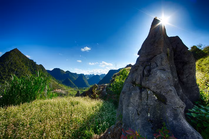 Trên cánh đồng hoa tam giác mạch. Ảnh: Yan Lerval / 500px.com.