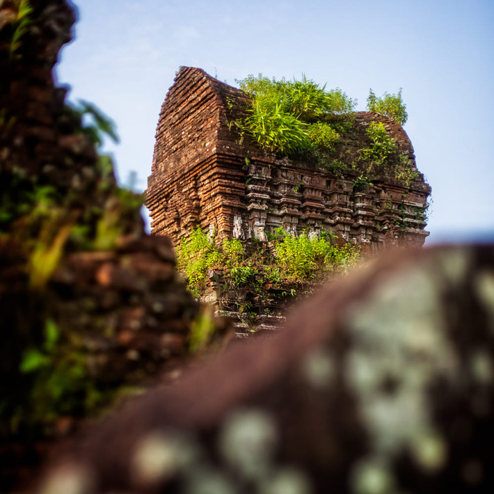 Màu xanh của thiên nhiên trên phế tích. Ảnh: Alex Stoen / 500px.com.