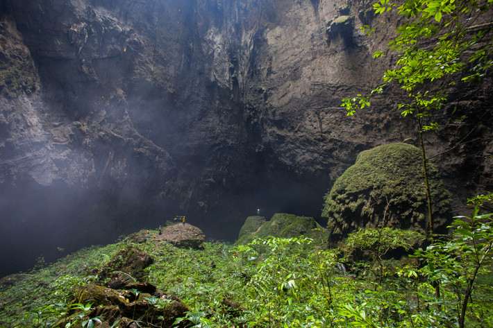 Một khu vườn trong hang.