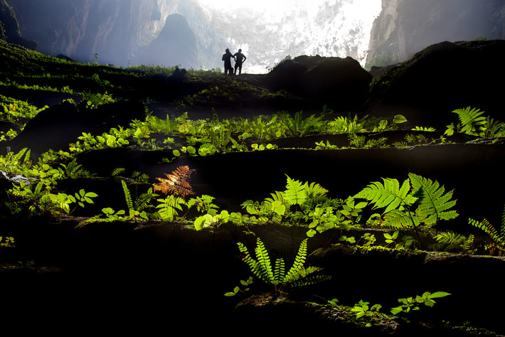 Vườn địa đàng có thật ở Sơn Đoòng.