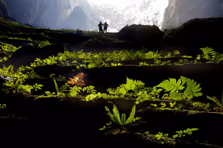 Vườn địa đàng có thật ở Sơn Đoòng.