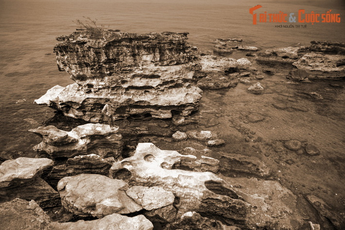 Việc “Cậu” được tôn lên vị trí cao, bên cạnh vị thần chủ là bà Chúa thể hiện nét đặc trưng của sự giao thoa văn hóa tâm linh giữa các cộng đồng người Việt Nam nơi biển đảo, thể hiện tính đa dạng trong thống nhất của văn hóa Việt Nam.