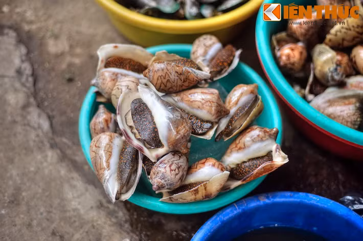 Do lợi thế nằm sát một vựa hải sản lớn, điểm đặc sắc nhất của chợ Phan Thiết là các mặt hàng hải sản tươi sống hết sức phong phú với giá cả vô cùng phải chăng.