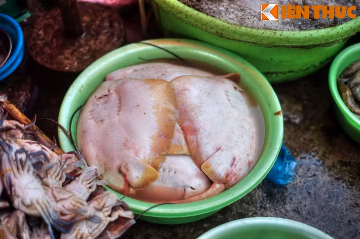 Tại đây, khách phương có thể tận mắt ngắm nhìn, chọn mua nhiều loại cá “lạ” chỉ có bán ở các khu chợ vùng biển như cá mập, cá đuối... Nếu đi chợ buổi sớm, có thể thấy nhiều loại hải sản còn ngoe nguẩy hay giãy đành đạch.