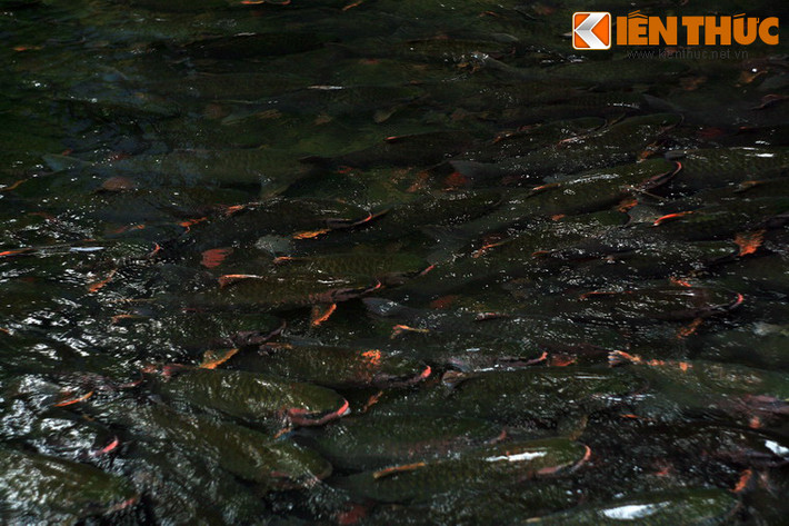 Hang động này được phát hiện tình cờ nhờ một người dân xã Cẩm Lương lên núi Trường Sinh tìm vàng, đồ cổ. Động nằm cách suối cá thần Cẩm Lương khoảng 200m.