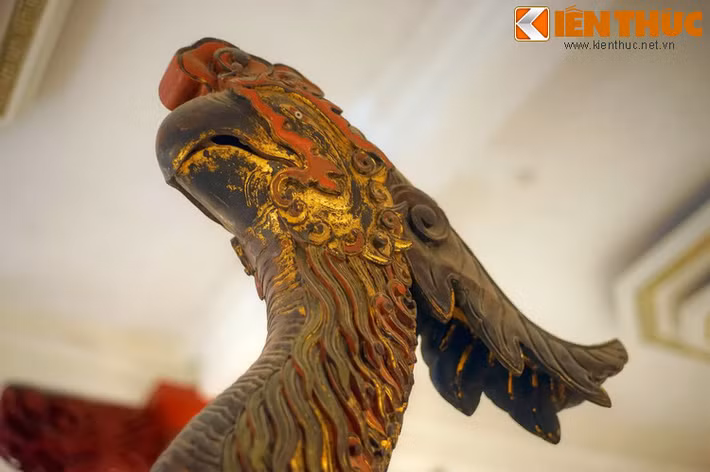 Đầu vẹt ngẩng cao với chiếc mỏ cong đặc trưng của chim vẹt. Sự khác biệt của con trống và con mái là con trống có mào dài sau đầu, bộ lông có phần tha thướt hơn.