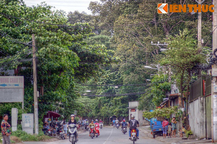  3. Khi đi qua đường Lê Thị Hoa ở phường Bình Chiểu, quận Thủ Đức, TP HCM, nhiều người không khỏi ngạc nhiên khi thấy sự xuất hiện của một &#34;khu rừng&#34; rậm rạp với nhiều cây cổ thụ cao vút. Đó chính là khu vườn của chùa Bửu Quang, ngôi chùa đầu tiên của hệ Phái Nam Tông Việt Nam.