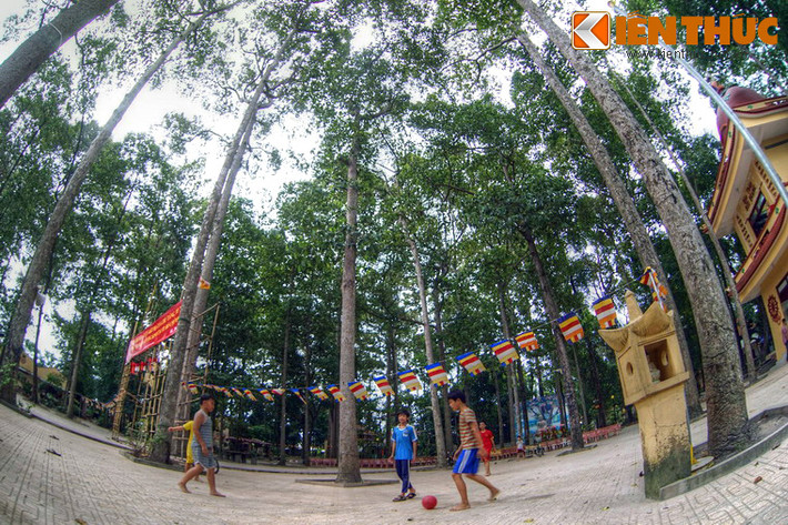 Không có những công trình kiến trúc gây ấn tượng mạnh như chùa Vạn Đức và Nam Thiên Nhất Trụ, nét nổi bật của chùa Bửu Quang là khu vườn rất rộng, được che phủ bằng những tán cây um tùm. Một số cây cổ thụ đã tồn tại từ khi chùa được hình thành đến nay.