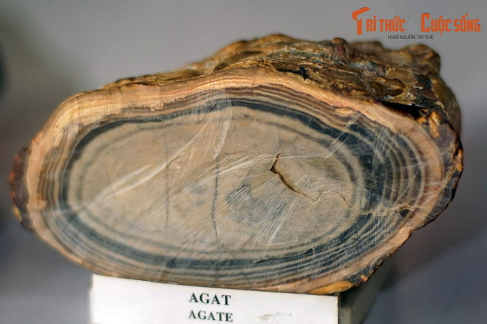 Mặt cắt có vân đồng tâm của một khối agate thu thập ở Lâm Đồng. Agate hay đá mã não là một biến thể dạng vi kết tinh của thạch anh, chủ yếu là canxedon, đặc trưng bởi các hạt mịn và màu sáng, thường tạo thành các đường vân rõ nét.