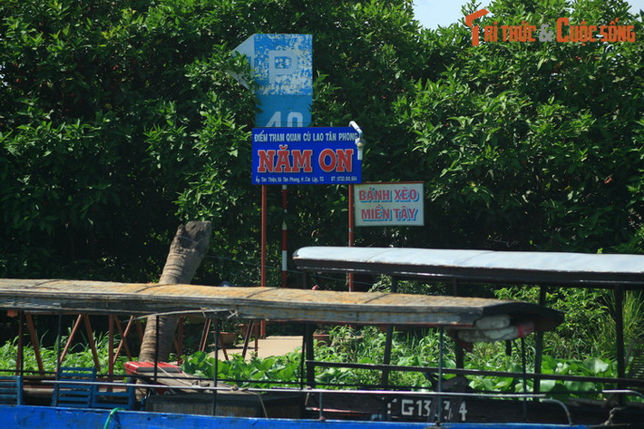 Được bồi đắp bởi lượng phù sa dồi dào, dải đất hai bên bờ sông cùng các cồn nổi trên sông có đất đai màu mỡ, tạo nên những vựa trái cây trù phú với đủ các loại cây đặc sản của phương Nam như măng cụt, xầu riêng, xoài, chôm chôm...