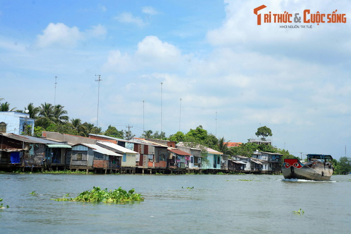 Dòng sông cũng cung cấp nguồn nước tưới tiêu cho những ruộng lúa thẳng cánh cò bay, là tuyến đường giao thương trọng yếu, hay không gian lao động – sản xuất của hàng vạn hộ dân sống bằng nghề đánh bắt, nuôi trồng thủy sản.