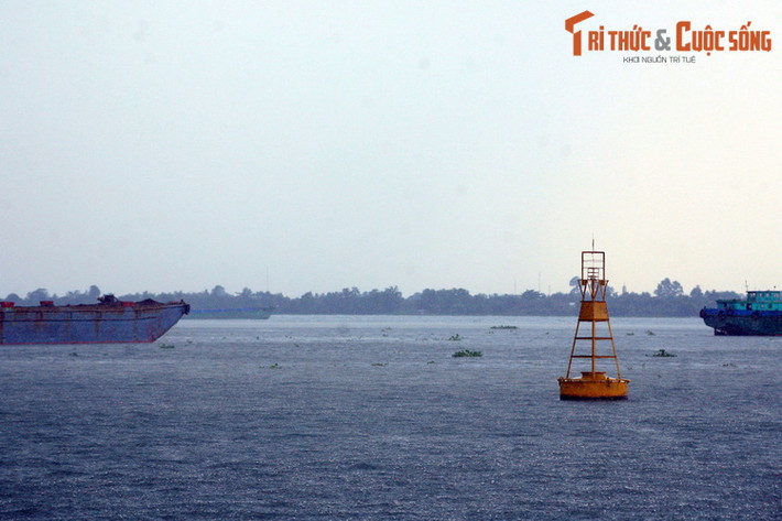 Như một sự tôn vinh dòng sông huyền thoại, một tỉnh mà sông Tiền chảy qua đã mang tên của dòng sông này, đó là tỉnh Tiền Giang.