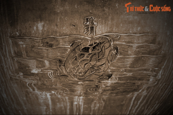 Con vật cuối cùng trên Nhân đỉnh là “Đại mạo” nghĩa là con đồi mồi, một loài rùa biển. Trong Sách Đỏ Việt Nam, loạt vật này thuộc diện Nguy cấp. Những năm 1990, đồi mồi đã gần như bị tận diệt do nghề thủ công sử dụng mai, vảy của chúng làm đồ mỹ nghệ bán cho khách du lịch.