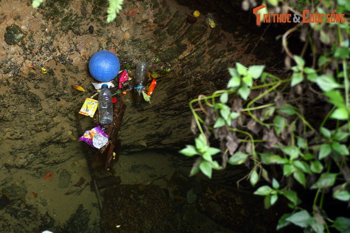 Sự thiếu ý thức của một số người cũng khiến giếng cổ biến thành "thùng rác" bất đắc dĩ.