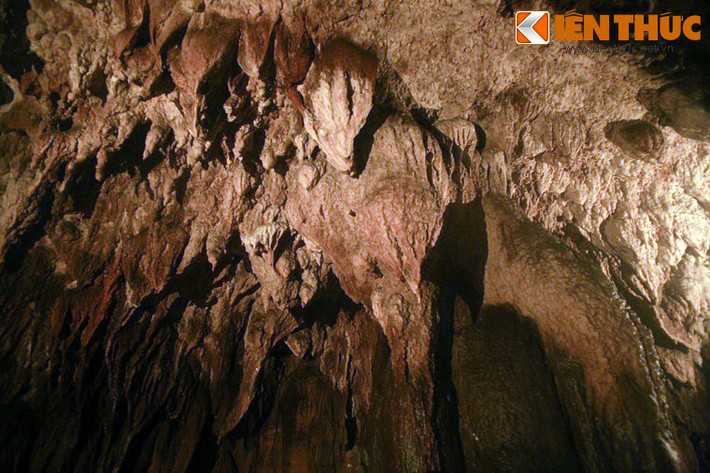 Vào năm 1979, trong một lần đi rừng, ông Nguyễn Trọng Nghiễn đã phát hiện ra động Tiên Sơn và là người đặt tên cho động này. Năm 1992, khu động Tiên Sơn đã được công nhận là Di tích thắng cảnh cấp quốc gia. Đến năm 2008, nơi đây được quy hoạch thành khu du lịch.